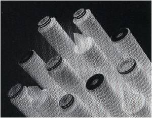 PP_Absolute_Filter02